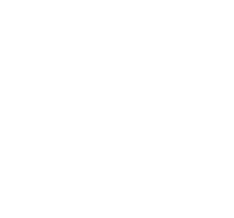 Mouvement Démocratie Nouvelle
