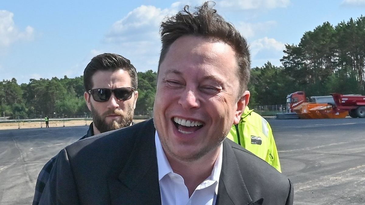 Convocation aux élections pour l’AfD : Musk, le produit de la ...