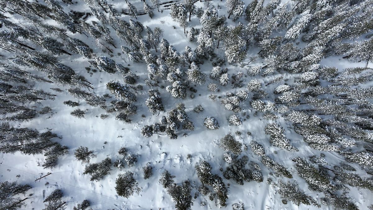 After the Fall of the Cliffs