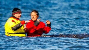 Accompagner l'animal jusqu'au bout : pourquoi Till Backhaus est-il devenu le meilleur sauveteur de baleines ?
