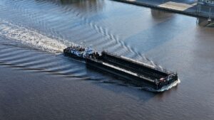 Du repos au lieu du sauvetage : les chercheurs déconseillent fortement de transporter la baleine