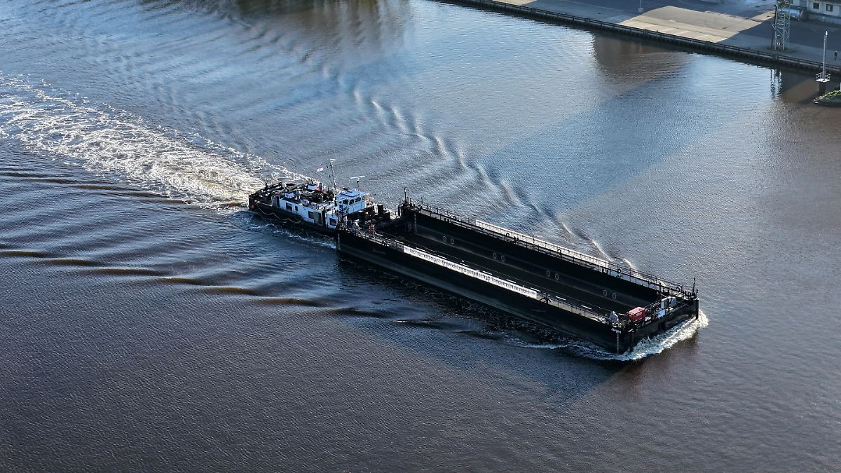 Du repos au lieu du sauvetage : les chercheurs déconseillent fortement de transporter la baleine
