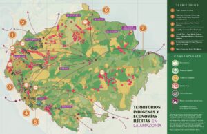 De grandes parties de l’Amazonie sont sous le contrôle de bandes criminelles