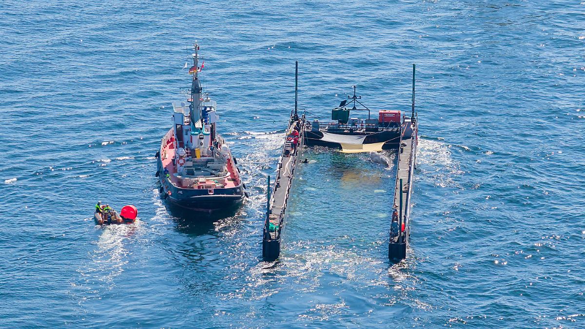 Barge actuellement dans le Skagerrak : la libération de la baleine à bosse échoue du premier coup