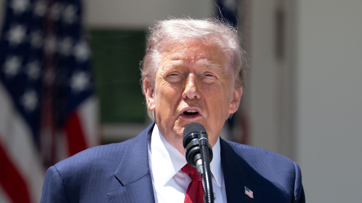Donald Trump négocie un cessez-le-feu entre la Russie et l'Ukraine