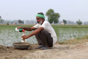 Expert sur la crise des engrais : « L’agriculture biologique peut prévenir la faim »
