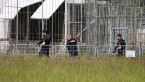 La police tire sur un animal : un tigre attaque un homme et s'enfuit près de Leipzig