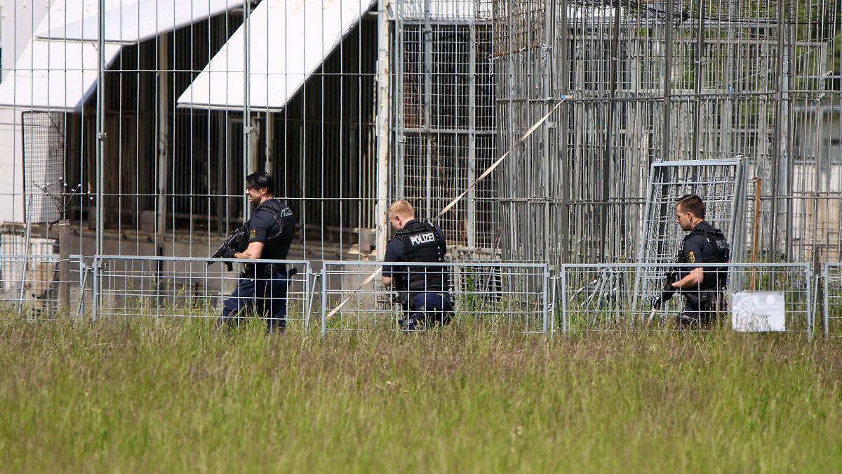 La police tire sur un animal : un tigre attaque un homme et s'enfuit près de Leipzig