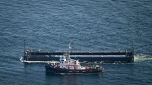 Peu de chances de survie ? : La phase délicate est encore devant la baleine
