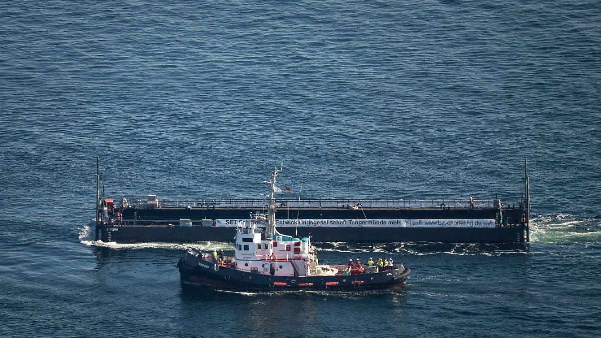 Peu de chances de survie ? : La phase délicate est encore devant la baleine