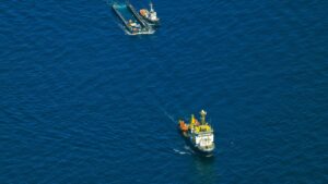Un médecin rapporte une manipulation brutale : le navire de sauvetage est de retour - on ne sait pas où se trouve la baleine