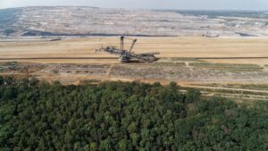 Accord sur la protection permanente : la forêt de Hambach devient une zone sauvage