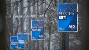Le parti avait intenté une action en justice : le tribunal autorise l'observation de l'AfD de Hesse