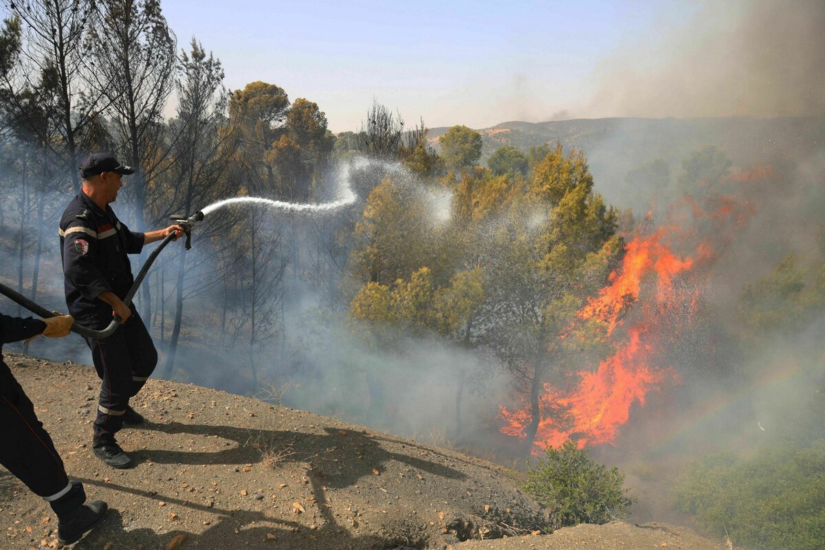 Chaleur record en Afrique du Nord : le point chaud du changement climatique
