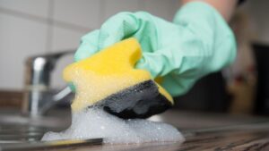 Chasse aux germes dans la cuisine : ça ne pue pas ou ça n'est pas gras ? Quand les éponges doivent vraiment disparaître