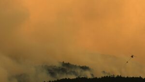 Communautés proches de Madrid évacuées : un incendie de forêt oblige les autorités espagnoles à évacuer