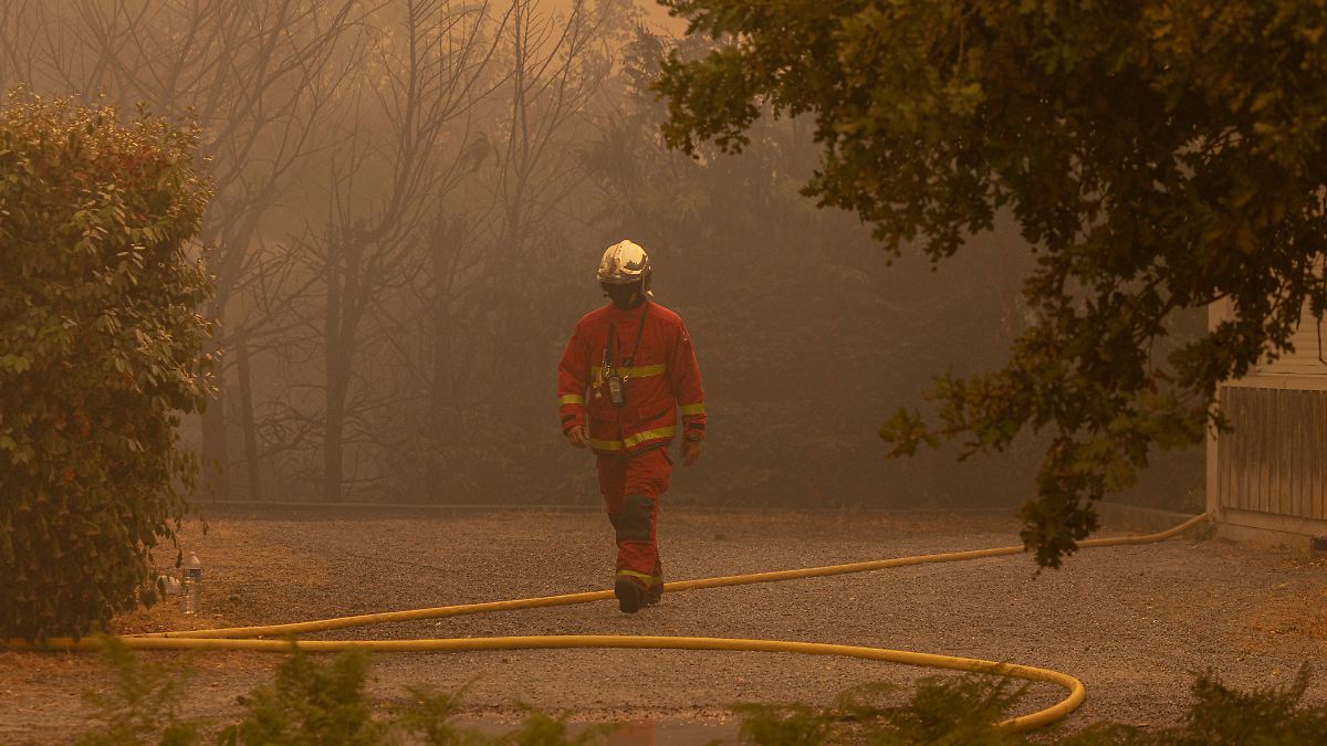 Le chef des Verts sur les incendies de forêt dans le sud de l’Europe : « Nous ne devons pas laisser nos voisins tranquilles »
