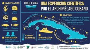 L'espoir de Cuba : aperçu des coraux résilients