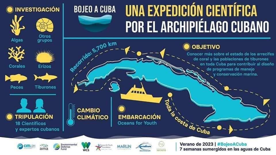 L'espoir de Cuba : aperçu des coraux résilients