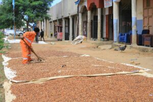 Contrebande de cacao en RD Congo : le chocolat amer