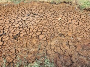 El Niño : Sécheresse, niveau d'alerte le plus élevé au Honduras, canal de Panama touché
