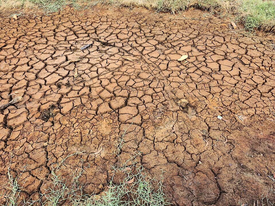 El Niño : Sécheresse, niveau d'alerte le plus élevé au Honduras, canal de Panama touché