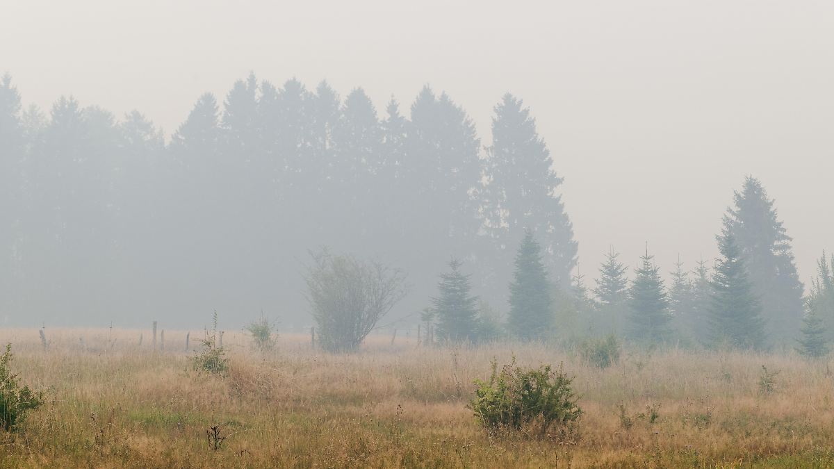 Immense incendie de forêt en Belgique : Monschau en Rhénanie du Nord-Westphalie prépare une éventuelle évacuation