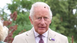 Le roi Charles aide le chapelier avec un don surprise
