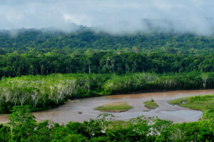 La Bolivie affaiblit-elle la protection de ses propres parcs nationaux ?