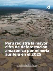 Les mines d’or illégales au Pérou menacent la région amazonienne et les peuples autochtones