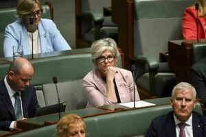 Une voiture percute une députée australienne : elle n’était pas une ennemie, mais Helen Haines était quand même une victime
